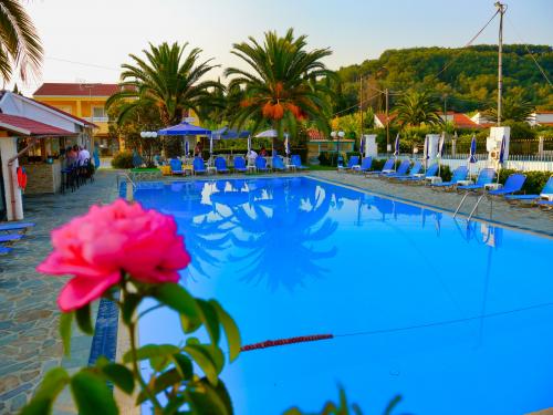 tria-adelphia-pool-view-4