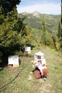 Natural-biodynamic-beekeeping